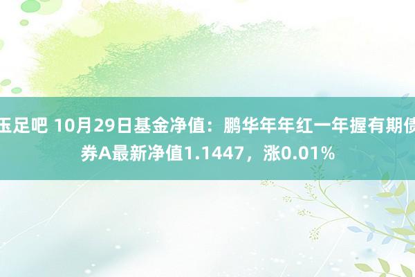 玉足吧 10月29日基金净值：鹏华年年红一年握有期债券A最新净值1.1447，涨0.01%