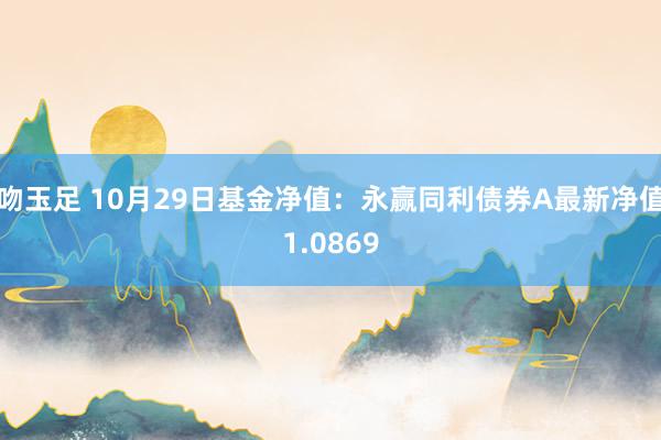 吻玉足 10月29日基金净值：永赢同利债券A最新净值1.0869