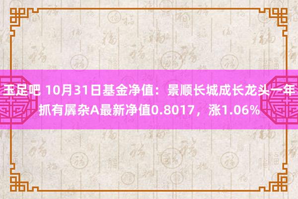 玉足吧 10月31日基金净值：景顺长城成长龙头一年抓有羼杂A最新净值0.8017，涨1.06%