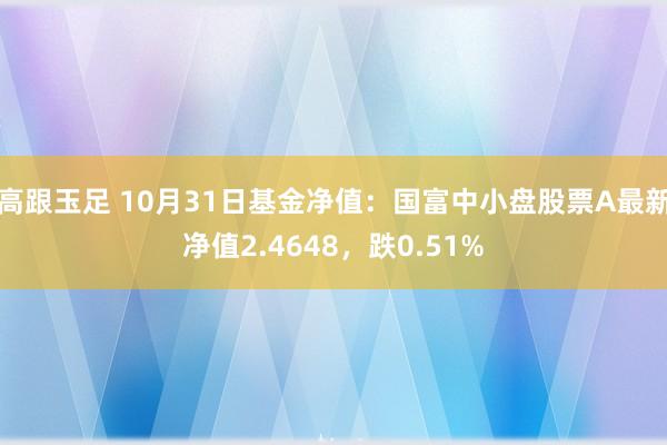 高跟玉足 10月31日基金净值：国富中小盘股票A最新净值2.4648，跌0.51%