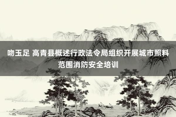 吻玉足 高青县概述行政法令局组织开展城市照料范围消防安全培训