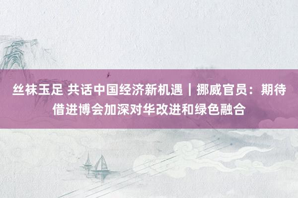 丝袜玉足 共话中国经济新机遇｜挪威官员：期待借进博会加深对华改进和绿色融合