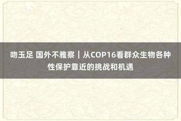 吻玉足 国外不雅察｜从COP16看群众生物各种性保护靠近的挑战和机遇