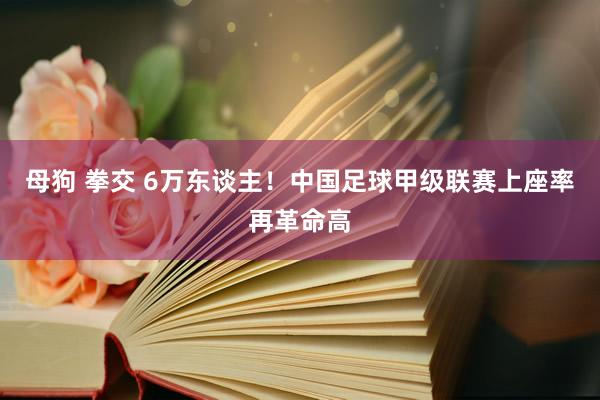 母狗 拳交 6万东谈主！中国足球甲级联赛上座率再革命高