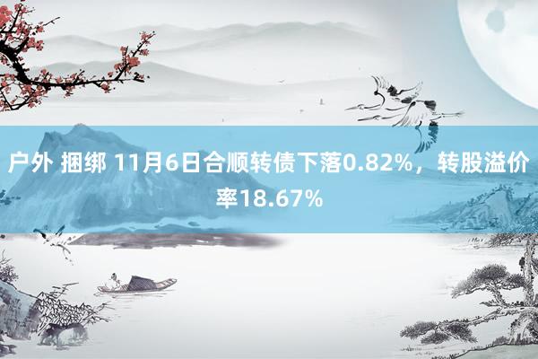 户外 捆绑 11月6日合顺转债下落0.82%，转股溢价率18.67%