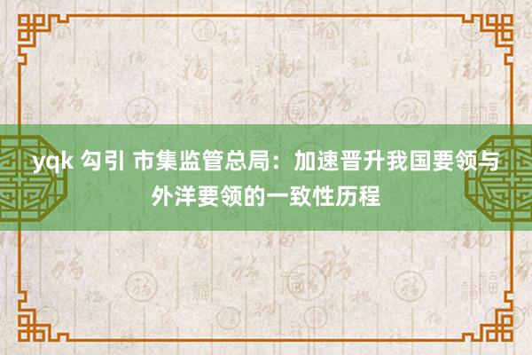 yqk 勾引 市集监管总局：加速晋升我国要领与外洋要领的一致性历程