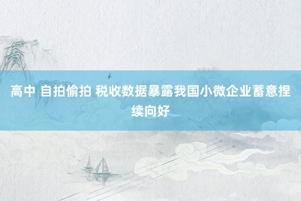 高中 自拍偷拍 税收数据暴露我国小微企业蓄意捏续向好