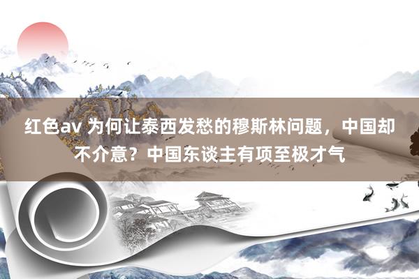 红色av 为何让泰西发愁的穆斯林问题，中国却不介意？中国东谈主有项至极才气