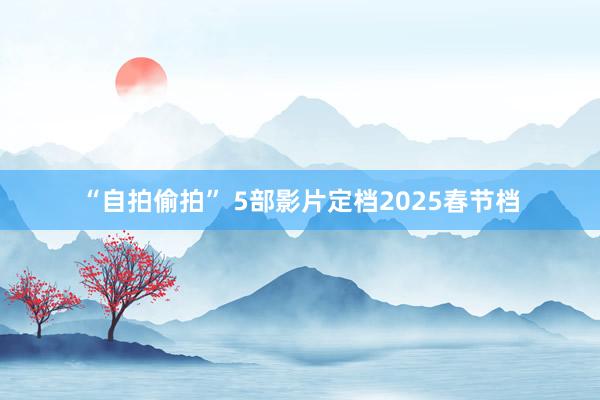 “自拍偷拍” 5部影片定档2025春节档