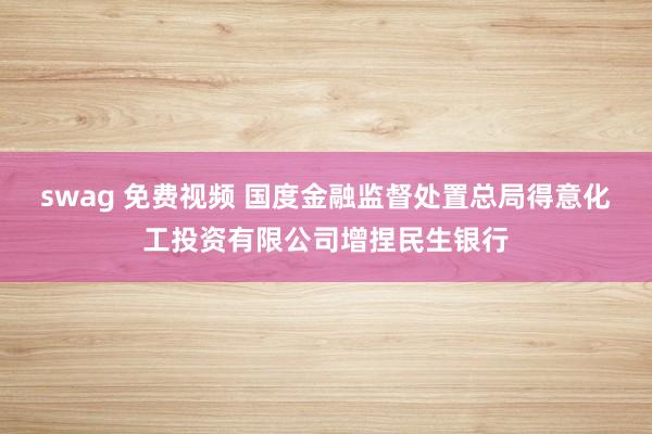 swag 免费视频 国度金融监督处置总局得意化工投资有限公司增捏民生银行