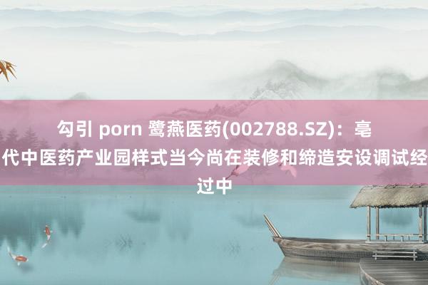 勾引 porn 鹭燕医药(002788.SZ)：亳州当代中医药产业园样式当今尚在装修和缔造安设调试经过中