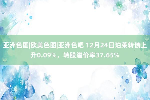 亚洲色图|欧美色图|亚洲色吧 12月24日珀莱转债上升0.09%，转股溢价率37.65%