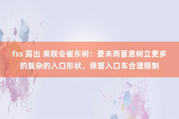 fss 露出 乘联会崔东树：要未雨蓄意树立更多的复杂的入口形状，保管入口车合理限制