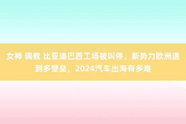 女神 调教 比亚迪巴西工场被叫停、新势力欧洲遇到多壁垒，2024汽车出海有多难