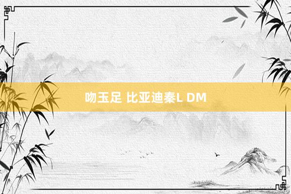 吻玉足 比亚迪秦L DM