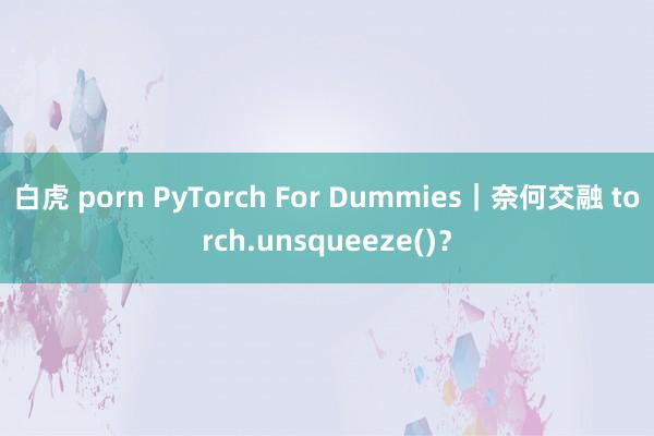 白虎 porn PyTorch For Dummies｜奈何交融 torch.unsqueeze()？