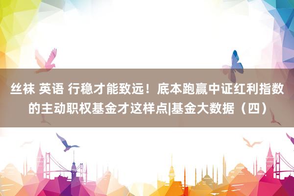 丝袜 英语 行稳才能致远！底本跑赢中证红利指数的主动职权基金才这样点|基金大数据（四）