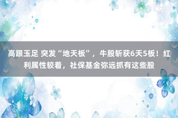 高跟玉足 突发“地天板”，牛股斩获6天5板！红利属性较着，社保基金弥远抓有这些股