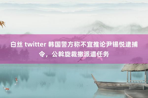 白丝 twitter 韩国警方称不宜推论尹锡悦逮捕令，公斡旋裁撤派遣任务