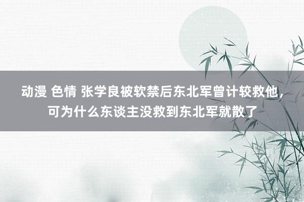 动漫 色情 张学良被软禁后东北军曾计较救他，可为什么东谈主没救到东北军就散了