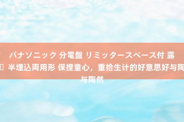 パナソニック 分電盤 リミッタースペース付 露出・半埋込両用形 保捏童心，重拾生计的好意思好与陶然